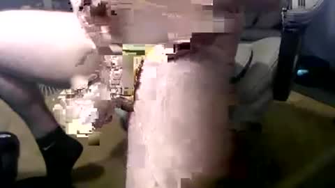thickkkcockkkguy online show from May 3, 2026, 3:40 pm