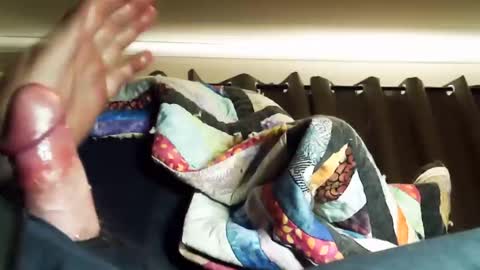 thisbloke96 online show from March 4, 2026, 7:14 am