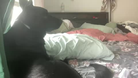 throatyygoat online show from September 21, 2025, 6:53 pm