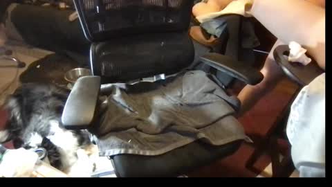 thundersword online show from March 8, 2025, 7:09 pm