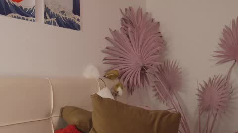 tiffanyjons online show from February 28, 2025, 12:21 am