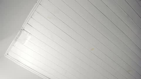 Tiffany online show from November 22, 2025, 11:09 am