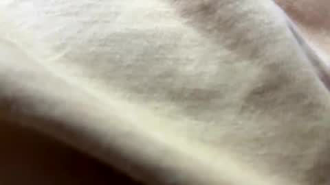 timber2255 online show from October 31, 2025, 2:07 pm