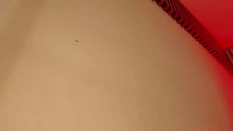 Tina  online show from September 29, 2025, 5:01 am