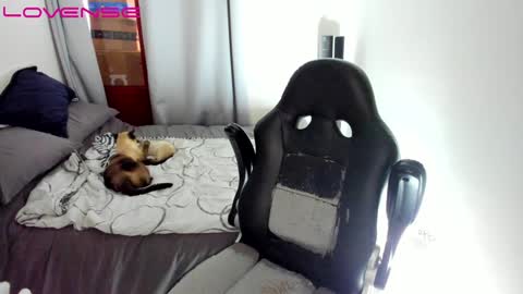 Tina online show from December 12, 2024, 9:26 pm