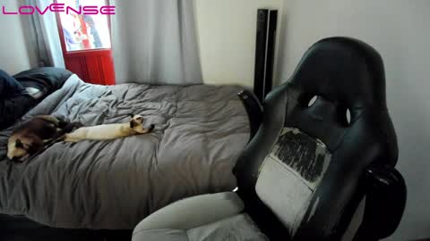 Tina online show from January 22, 2025, 7:45 pm