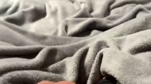 tmue online show from February 27, 2026, 1:33 pm