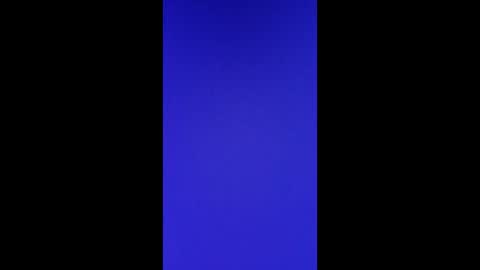 Vols online show from February 28, 2025, 11:47 am