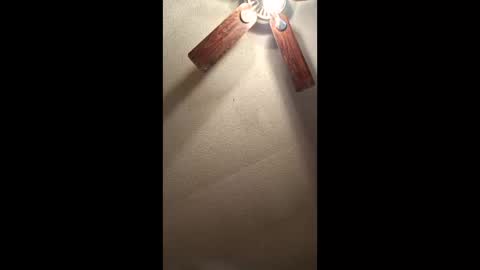 Vols online show from January 11, 2026, 1:27 pm