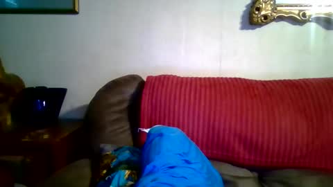 Vols online show from April 29, 2026, 10:49 pm