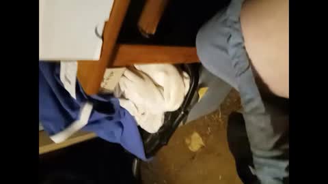 to_boldly_go online show from September 21, 2025, 11:17 pm