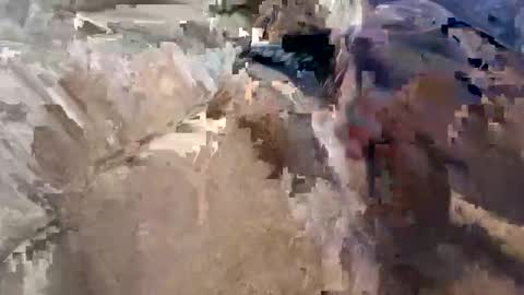 Toby online show from April 23, 2026, 2:13 am