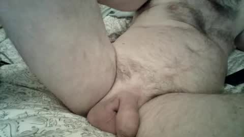 toddbells online show from February 13, 2026, 3:19 pm