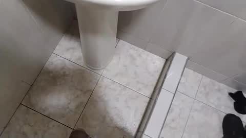 Tomas online show from December 16, 2024, 11:50 pm