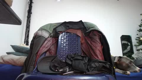   Thomas    online show from January 9, 2025, 10:52 pm