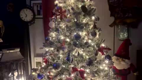 tommybones4l93 online show from December 18, 2025, 2:06 am