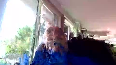 tommyknocker1 online show from October 19, 2025, 4:40 pm