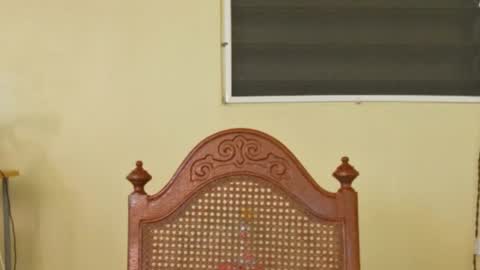 Antonio online show from October 9, 2025, 2:48 pm