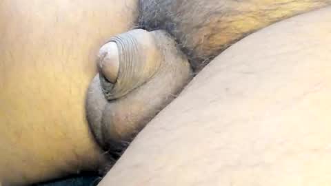 tonyisback2023 online show from March 2, 2025, 4:17 am