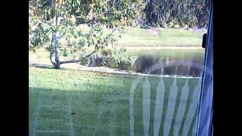 tonymcfly99 online show from February 21, 2025, 9:43 pm