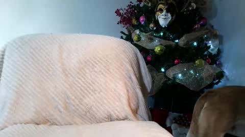 Snapshot of torino_19 chatting on November 28, 2025, 1:52 am Enzo Moretti online show from November 28, 2025, 1:52 am