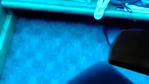 Snapshot of tornne chatting on February 2, 2025, 1:19 pm tornne online show from February 2, 2025, 1:19 pm