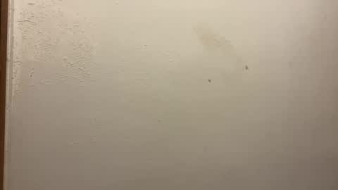 toronto5656 online show from February 5, 2025, 3:20 pm