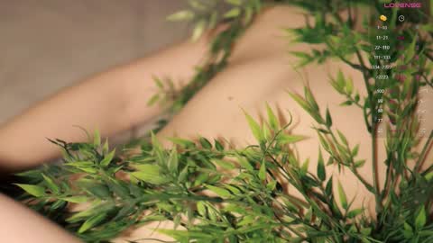 Toshi online show from September 21, 2025, 1:02 pm