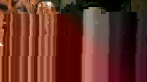tr0069 online show from October 25, 2025, 9:39 am