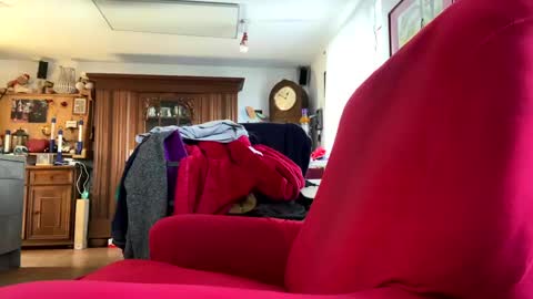 trebgeis1 online show from February 18, 2025, 11:44 am