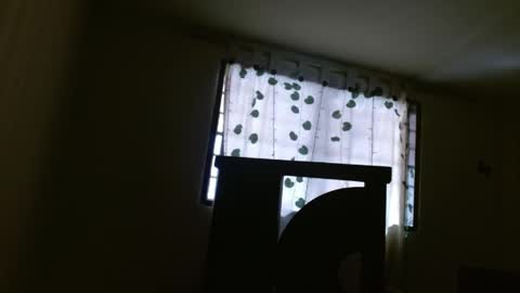 trebol_4 online show from May 21, 2026, 2:57 pm