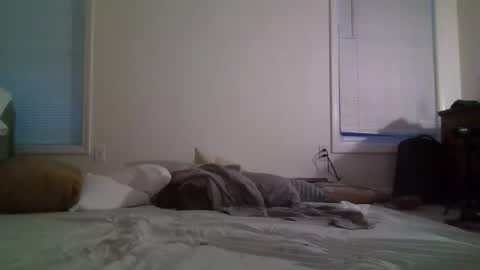 trickquestion online show from February 8, 2025, 11:44 am