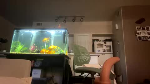 trickydick6 online show from March 20, 2026, 8:35 pm