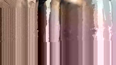 WapBopper online show from February 2, 2025, 1:55 am