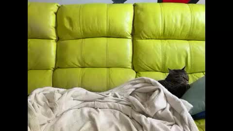 Ramiro online show from April 3, 2026, 11:41 am