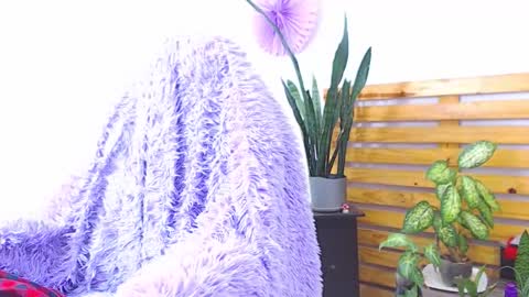 Trix online show from February 1, 2026, 6:34 am