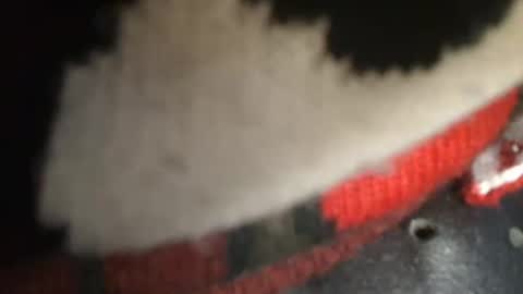 trobelle online show from December 26, 2024, 1:43 pm