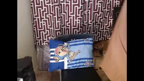 SARCY online show from February 24, 2026, 11:14 pm