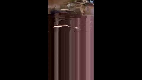 tshull0009 online show from April 1, 2026, 6:05 pm