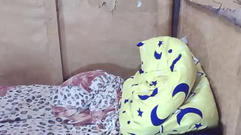 carmella online show from December 29, 2024, 2:38 am