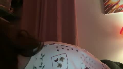 Tulip online show from February 2, 2026, 4:00 am