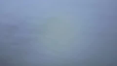 Ariana online show from January 9, 2026, 7:04 pm