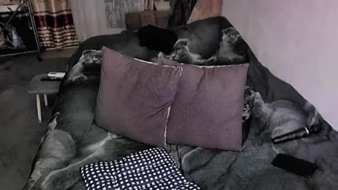 Lana online show from November 20, 2025, 9:58 pm