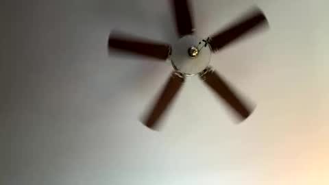 twerkandjerkk online show from April 16, 2026, 1:23 pm