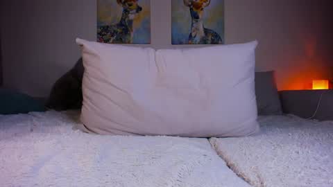 Maria 3 online show from December 18, 2024, 8:03 pm