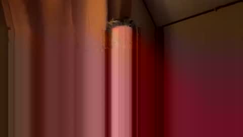 twosmallholes42 online show from March 1, 2026, 4:03 am