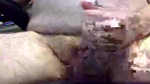 txranger6519 online show from April 22, 2026, 12:39 pm