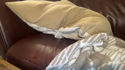 Snapshot of ty23333 chatting on February 6, 2025, 10:37 am ty223222 online show from February 6, 2025, 10:37 am