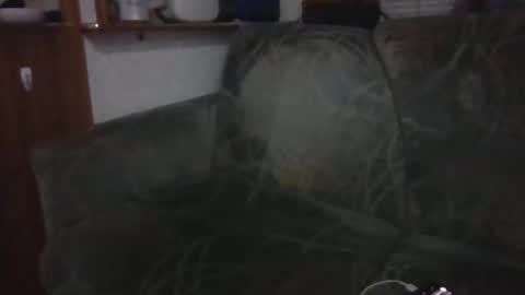 tybud4200 online show from October 20, 2025, 7:31 am