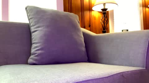 Tyler Sands online show from February 7, 2025, 2:58 pm